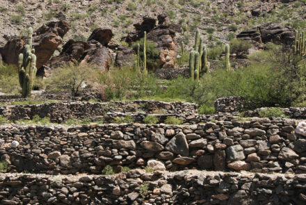 Ruinas de los Indios Quilmes