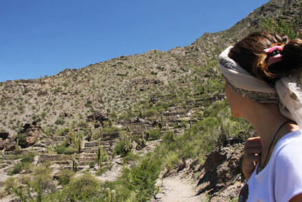 Ruinas de los Indios Quilmes